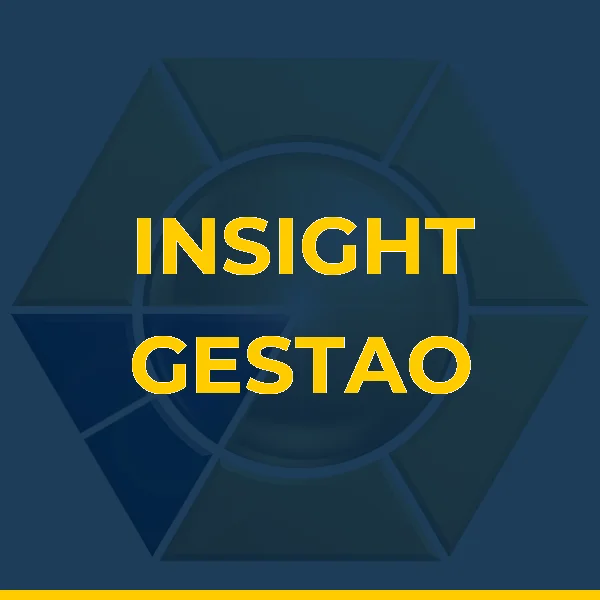 Foto de INSIGHT GESTAO EMPRESARIAL LTDA