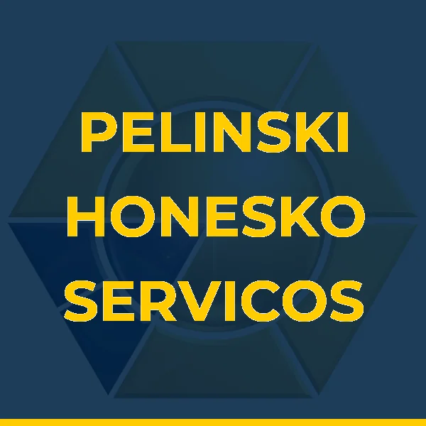 Foto de PELINSKI HONESKO SERVICOS MEDICOS