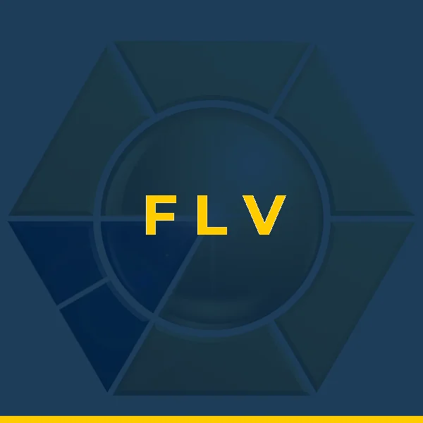 Foto de F L V DISTRIBUIDORA DE HORTIFRUTI LTDA