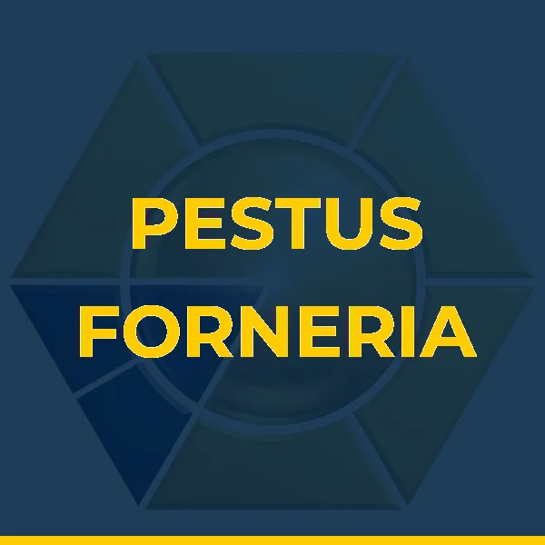 Foto de PESTUS FORNERIA