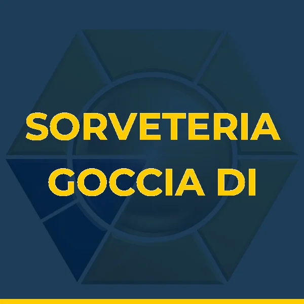 Foto de SORVETERIA GOCCIA DI LATTE