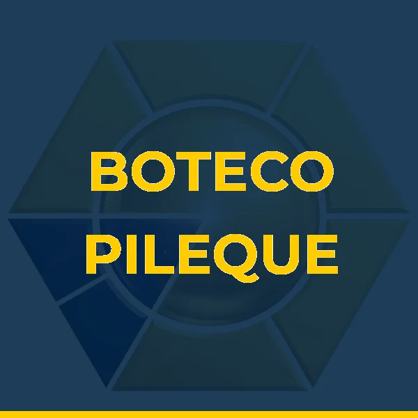 Foto de BOTECO PILEQUE