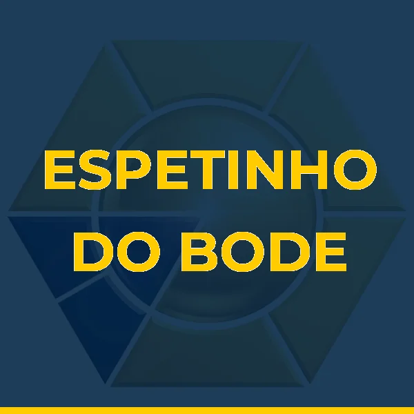 Foto de ESPETINHO DO BODE