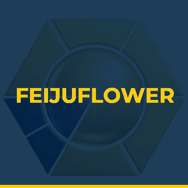 Foto de FEIJUFLOWER