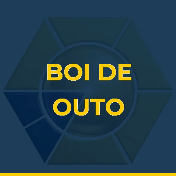 Foto de BOI DE OUTO PALMAS SHOPPING