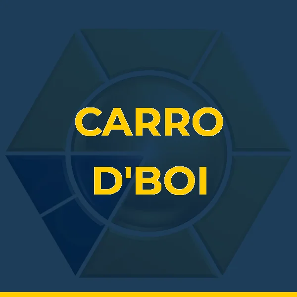 Foto de CARRO D'BOI
