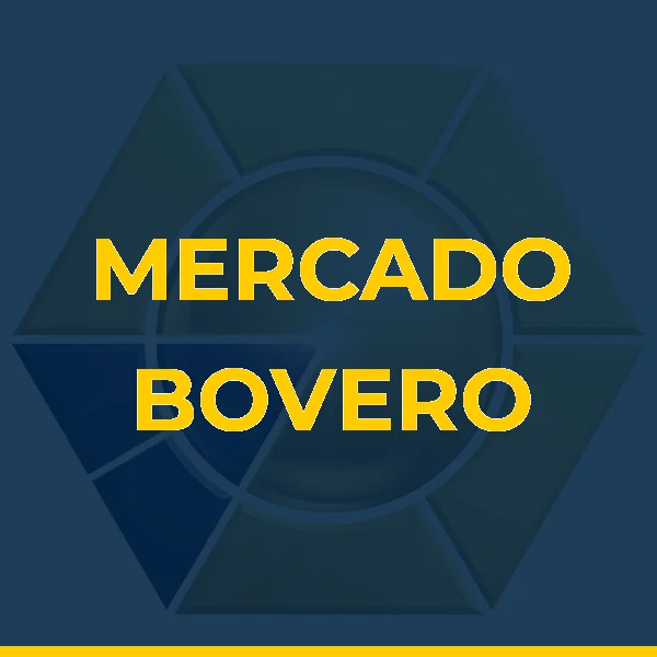 Foto de MERCADO BOVERO