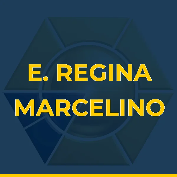 Foto de E. REGINA MARCELINO BORGES CINTRA LTDA