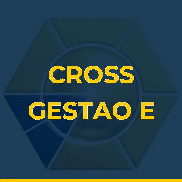 Foto de CROSS GESTAO E CONSULTORIA LTDA
